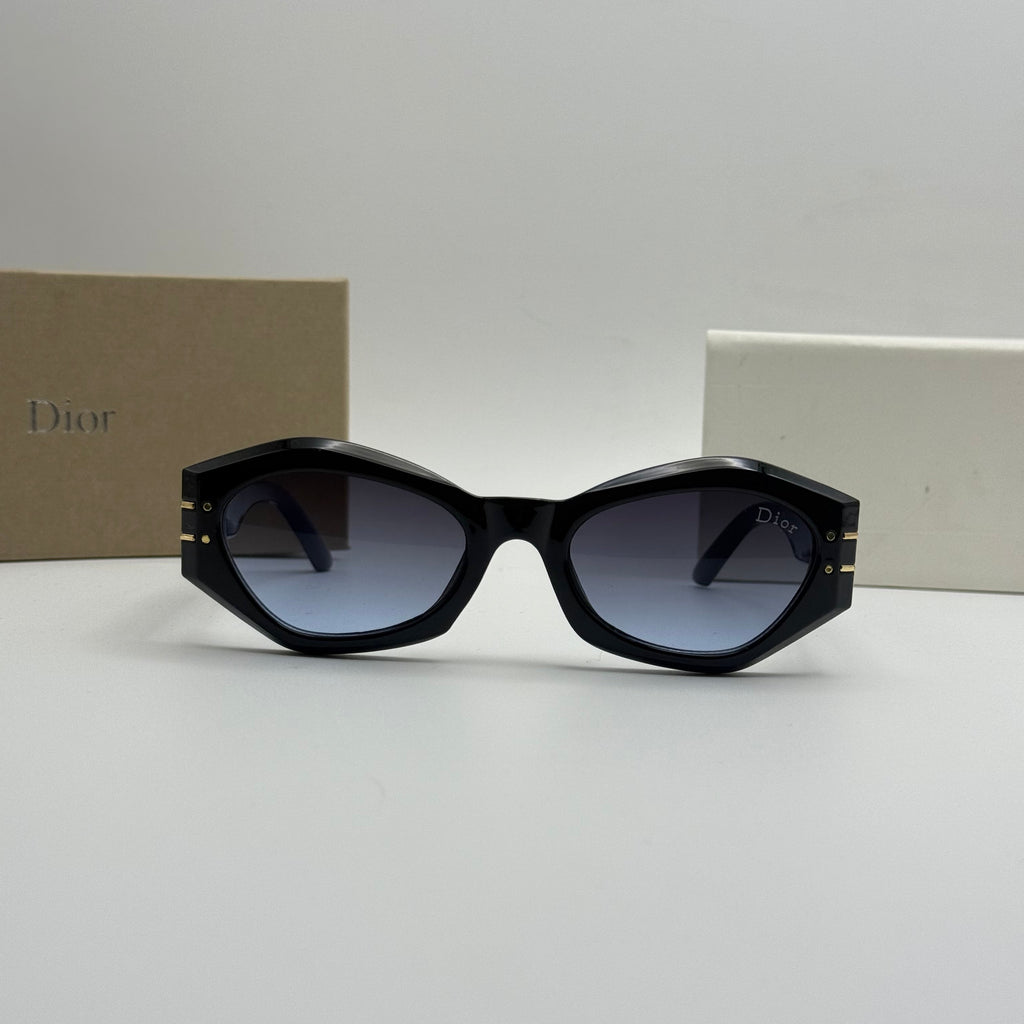 Christian Dior Signature B1U Sunglasses